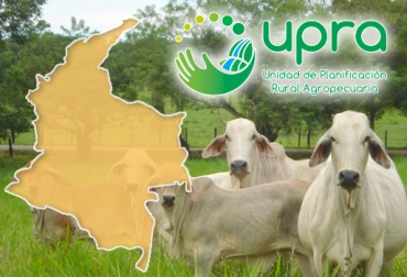 La Upra, en conjunto con entidades y gremios del país, ofrecerá un mapa del uso de suelo para ganadería en dos años. Foto: http://ecologiasocebu.blogspot.com.co - www.upra.gov.co Uso suelo ganadería, uso suelo ganadería Fedegán, uso suelo ganadería UPRA, Unidad de Planificación Rural, Foro Ganadería Colombiana Sostenible, plan de ordenamiento productivo, plan de ordenamiento social, uso del suelo, ganadería extensiva, distribución del suelo, CONtexto ganadero, ganaderos colombia