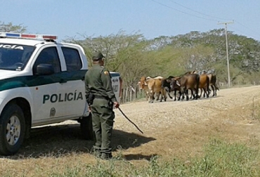 Preocupación por aumento de casos de abiegato en Atlántico. Foto: Asoganorte.com.co. abigeato en Atlantico, gremio ganadero del Atlantico, ganaderos del Atlantico, robo de ganado en Atlantico, polícia del Atlántico, CONtexto ganadero