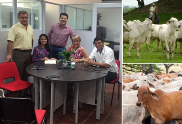 El clúster de carne en Córdoba se ha desarrollado con aportes de los ganaderos y el apoyo de entes gubernamentales y regionales. Foto: Paul Rodríguez / CONtexto ganadero. Clúster de carne Córdoba 2016, clúster de carne Córdoba ganaderos, clúster de carne Córdoba noticias, clúster de carne Córdoba Pines Santander, clúster de carne de Córdoba, clúster de carne Córdoba Gobierno, clúster de carne de Córdoba Fedegán, CONtexto ganadero, ganaderos Colombia