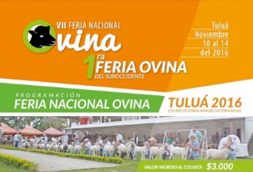 Durante este fin de semana se llevará a cabo la VII Feria Nacional Ovina y la I Feria Ovina del suroccidente Colombiano. Foto: Cogancevalle Feria Nacional Ovina en Tuluá, eria Ovina del Suroccidente Colombiano, sector ovino de Tuluá, ganaderos de Tuluá, consumo de carne ovina, CONtexto ganadero