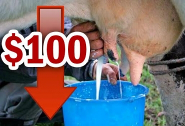 Los ganaderos lamentaron que los empresas acopiadoras no permitieran su recuperación. Foto: CONtexto ganadero. Valle de Ubaté, leche en el valle de ubaté, lechería en el valle de ubaté, precio de la leche, precio de la leche en colombia, precio de la leche en el valle de ubaté, caída en el precio de la leche, alquería, cuencas lecheras, contexto ganadero, ganadería colombia