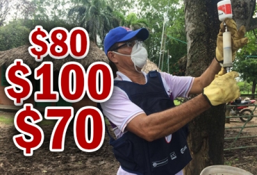 Aunque unos comités recibieron la contraprestación de $100 en lugar de $80 por cada vacuna, otros aseguraron que incluso perdieron dinero y recibieron $70. Foto: fedegan.org.co Aumento Contraprestación vacuna aftosa, Federación Colombiana de Ganaderos, fedegan, Ministro de Agricultura Aurelio Iragorri Valencia, incumplimientos del ministro Iragorri con el sector ganadero, Fortalecimiento a los comités ganaderos, Iragorri se compromete a fortalecer sector ganadero, Programa de Erradicación de la Fiebre Aftosa, vacuna contra la fiebre aftosa y la brucelosis bovina, compra y distribución del biológico, precio de la vacuna contra la aftosa, CONtexto ganadero, ganaderos colombia