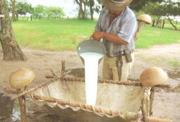 Los productores informales estarían usando químicos peligrosos a la hora de elaborar el queso. Foto: cuentaelabuelo.blogspot.com.co quesos, quesos en arauca, quesería en arauca, queseros informales en arauca, buenas prácticas de manufactura de queso, queserías ilegales, queserías informales, producción informal de queso, uso del peróxido en el queso, Comité de Ganaderos de Arauca, CONtexto ganadero, ganadería colombia