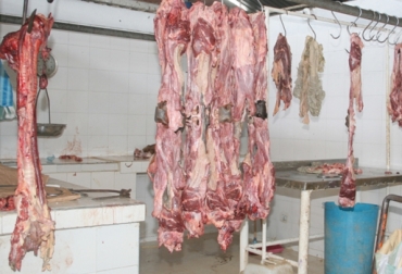 En Huila se ha disparado el sacrificio informal ya que en la gran mayoría de los municipios hay puntos donde se realizan estas actividades ilegales. Foto: Diario del Huila. sacrificio clandestino en huila, sacrificio de ganado en potreros, Ganaderos de Huila, Comité de Ganaderos del Huila, directora ejecutiva del Comité de Ganaderos del Huila, CONtexto ganadero