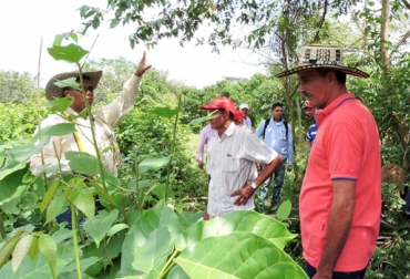 El proyecto de Ganadería Colombiana Sostenible ha dado de qué hablar en todo el país. Foto: https://www.facebook.com/Ganaderia-Colombiana-Sostenible-552796938190377. avances del programa Ganadería Colombiana Sostenible, ganaderos beneficiados, foros regiones de ganadería sostenible, Sistemas silvopastoriles, GEF, cercas vivas, fedegan, CONtexto ganadero