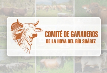 Ganaderos de Santanader resaltan labor que ha venido desarrollando el Comité de Ganaderos de la Hoya del Río Suárez en la región. Foto: https://www.facebook.com/comitedeganaderos.delahoyadelriosuarez. labor del Comité de Ganaderos de la Hoya del Río Suárez, consolidación del Comité de Ganaderos de la Hoya del Río Suárez, ganaderos del Socorro, ganaderos de Santander, gremios ganaderos con valor agregado, CONtexto ganadero