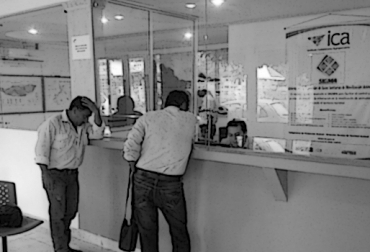 Empresarios ganaderos expresaron su inconformidad por las demoras en la oficina del ICA en Montería. Foto: ica.gov.co Oficina ICA Montería guías, oficina ICA Montería ganaderos, Instituto Colombiano Agropecuario, ICA, Guías de Movilización, ICA no expide guías movilización, ganaderos afectados por el ICA, oficina ICA Montería, oficina Montería ICA dificultad trámite de guías, movilización de ganados en Colombia, problemas del ICA en regiones de Colombia, Falta de personal y comunicación del ICA, CONtexto ganadero, ganaderos colombia
