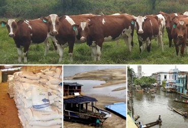 Ganaderos antioqueños solicitan una política pública para el sector que no solo se vea en las épocas de cambios climáticos, sino que sea constante. Foto: radiomacondo.fm - contextoganadero.com - elcolombiano.com verano en antioquia, invierno en antioquia, Ganaderos de Antioquia, sector lechero de Antioquia, daños en vías terciarias en Antioquia, CONtexto ganadero
