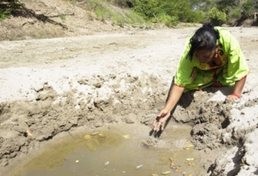 Ganaderos de La Guajira sufrieron por la falta de lluvias durante gran parte del 2016. Foto: http://www.periodicolaguajira.com Balance ganadería Guajira 2016, ganadería Guajira 2016, Reducción inventario bovino La Guajira, afectaciones La Guajira, fenómeno de El Niño, sequía en La Guajira, disminución del inventario bovino en La Guajira 2016, inventario bovino La Guajira, inventario bovino Guajira Fedegán, inventario bovino Guajira noticias, crisis gobernación Guajira 2016, CONtexto ganadero, ganaderos colombia