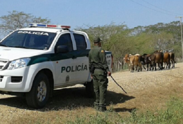 Los productores piden mayores controles para mitigar el incremento del abigeato. Foto: Asoganorte. atlántico, ganaderos del Atlántico, seguridad atlántico, abigeato atlántico, inseguridad en el sector rural, pozos profundo atlántico, CONtexto ganadero, ganadería colombia