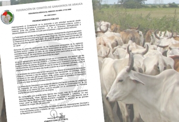 La Federación de Comités Ganaderos de Arauca denuncia la inoperancia de las autoridades frenre al aumento de contrabando desde Venezuela. Foto: avisa.org.ve. contrabando de ganado desde Venezuela hacia Arauca, aumento del contrabando en Arauca, ganado de contrabando desde Venezuela, sector ganadero de Arauca, afectaciones por contrabando de ganado, Ganaderos de Arauca, contrabandistas de ganado, soborno a autoridades, falta de controles de autoridades, Federación de Comités Ganaderos de Arauca, CONtexto ganadero