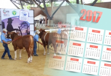 Lo invitamos a estar pendiente de nuestra sección de Eventos. Foto: CONtexto ganadero. eventos ganaderos de 2017, ferias ganaderas de 2017, temporada taurina de 2017, Expo Malocas 2017, Feria Nacional Equina 2017, XXI Agroexpo, Ferial Nacional Simmental y Simbrah 2017, Feria Nacional Cebú 2017, CONteto ganadero