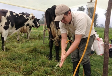 La iniciativa busca que el departamento llegue a producir 30 mil litros diarios de leche de alta calidad. Foto: periodico.sena.edu.co Caldas, ganaderos de caldas, producción lechera en caldas, lechería de caldas, proyecto en favor de los lecheros de caldas, Secretaría de Agricultura de Caldas, Cooperativa Láctea y Agropecuaria de Caldas Coolagro, Coolagro Caldas, CONtexto ganadero, ganadería colombia