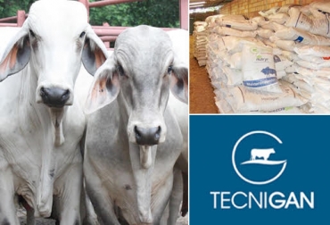 Los ganaderos echaron de menos iniciativas como el Tecnig@n y las bodegas ganaderas. Foto: sugaberrio.com / CONtexto Ganadero / Fedegán. magangué, ganaderos de magangué, ganadería magangué, abandono del estado en magangué, dificultades crediticias banco agrario, dificultades para acceder a créditos del banco agrario, ganaderos de bolívar, tecnig@n, bodegas ganaderas, ganadería colombia, contexto ganadero