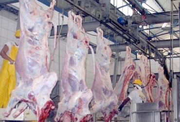 Una vez se aplique el Decreto 1500, en ambas regiones solo funcionarán 37 frigoríficos. Foto: eluniversal.com.co. Cierre plantas Antioquia y Santander, Decreto 1500 de 2007 Antioquia y Santander, Estado plantas de sacrificio Antioquia febrero 2017, Estado plantas de sacrificio Santander febrero 2017, Decreto 1500 de 2007, aplazamiento del decreto 1500 de 2007, 7 aplazamientos del decreto 1500, demoras decreto 1500, estado plantas de sacrificio del país, Invima, panorama plantas de sacrificio, CONtexto ganadero, ganaderos Colombia