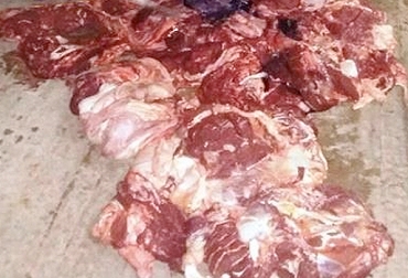 Esta problemática pone en riesgo la salud pública y afecta la actividad ganadera. Foto: excelsio.net. sacrificio clandestino en Duitama, sacrificio clandestino en Boyacá, mataderos clandestinos en Boyacá, sector ganadero de Boyacá, ganaderos de Boyacá, cierre de plantas en Boyacá, CONtexto ganadero