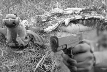 Los productores de Codazzi están atemorizados por el aumento de la inseguridad y el robo de ganado. Foto: prensalibrecasanare.com.co - CONtexto ganadero abigeato Codazzi, abigeato Cesar, Sacrificio clandestino Codazzi, sacrificio clandestino ganaderos Cesar, acciones contra sacrificio clandestino ganaderos Codazzi, acciones contra abigeato Codazzi, ganadería Cesar, Policía Ejército ganaderos Cesar, Ganaderos Codazzi, CONtexto ganadero, ganadería Colombia