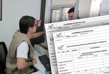 A pesar de los reclamos, los productores aún tienen inconvenientes para expedir las guías en ciudades importantes como Arauca o Neiva. Foto: ica.gov.co Guías Ica Montería Arauca Neiva, Oficina ICA guías, oficina ICA ganaderos, Instituto Colombiano Agropecuario, ICA, Guías de Movilización, ICA no expide guías movilización, ganaderos afectados por el ICA, movilización de ganados en Colombia, problemas del ICA en regiones de Colombia, Falta de personal y comunicación del ICA, CONtexto ganadero, ganaderos colombia