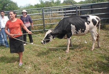 En Colombia, las mujeres han empezado a cobrar mayor relevancia en el sector ganadero. Foto: http://www.economiafamiliar.gob.ni. Mujer ganadera Colombia marzo 2017, mujer ganadera Colombia 2017, Día Internacional de la Mujer 2017, ganaderas de Colombia, mujeres ganaderas de Colombia, mujer sector ganadero Colombia, mujer ganadera Fedegán, CONtexto ganadero, ganaderos Colombia