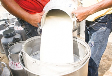 Ganaderos insisten en implementar políticas para mejorar la producción de leche en Córdoba. Foto: elmeridianodecordoba.com.co. Indicadores productivos ganadería Córdoba 2017, Proyectos ganaderos Córdoba marzo 2017, proyecto repoblamiento bovino Córdoba, proyecto mejoramiento genético Córdoba, proyectos ganaderos Córdoba, Comité de Ganaderos del Bajo Sinú, Ganabas, CONtexto ganadero, ganaderos córdoba, ganaderos Colombia