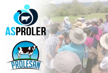 De las 4 asociaciones que conformarán la nueva cooperativa Alagro, 2 cuentan con una importante tradición en la región: Asproler y Prolesan. Foto: impact.coop / www.asproler.com.co / CONtexto ganadero Creación Asociación Alianza para el Agro Antioquia, Alianza para el Agro Antioquia 2017, productores lecheros Antioquia, cooperativa Alagro, cooperativa Alagro 2017, cooperativismo en el sector ganadero, economía solidaria, productores lecheros Antioquia marca propia, crear cooperativa, fenómeno de El Niño, CONtexto ganadero, ganaderos Colombia
