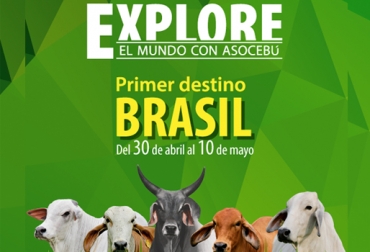 Del 30 abril al 10 de mayo de 2017, cerca de 60 productores colombianos realizarán un gira ganadera por Brasil. Foto: Asocebú. gira de Asocebú a Bracil, explora con Asocebú, razcebuinas en Colombia, ganaderos de Colombia irán a Brasil, ganado cebú en Colombia, CONtexto ganadero