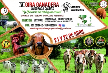 Esta es la quinta gira que organizan las empresas Taurus Genetics y Evagro. Foto: Cortesía V Gira Ganadera 2017 Evagro Taurus Genetics, Evagro Agropecuaria, Taurus Genetics, gira ganadera La Dorada Caldas, V Gira Ganadera La Dorada Caldas abril 2017, gira ganadera Evagro, gira ganadera Eficiencia del Cebú y sus cruces abril 2017, explotaciones ganaderas, CONtexto ganadero, ganaderos Colombia