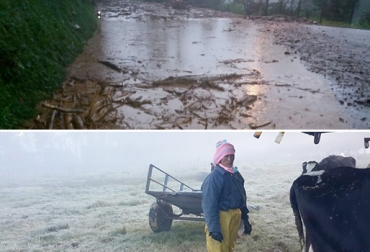 Los ganaderos de Cundinamarca han tenido que lidiar en el primer trimestre del 2017 con heladas seguidas de torrenciales aguaceros. Foto: Leonardo Páez Cabra - destinoseguro.net Ganaderos Cundinamarca cambio climático, Cundinamarca heladas, Heladas, cundinamarca heladas abril 2017, ganaderos Cundinamarca heladas, ganaderos Cundinamarca heladas abril 2017, pastos quemados por las heladas, alimento para el ganado, afectaciones heladas Cundinamarca, afectaciones a ganaderos por heladas Cundinamarca, CONtexto ganadero, ganaderos Colombia