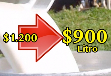 Los productores de Magangué aseguran que los queseros bajaron el precio de la leche hasta $300. Foto: CONtexto ganadero Precio leche Magangué Bolívar, precio leche Bolívar, precio leche Magangué, Empresas acopiadoras ausentes en Caribe, empresas acopiadoras Caribe, Reducción precio leche Caribe Colombia, reducción precio leche invierno, llegada de las lluvias 2017, precio litro de leche colombia, CONtexto ganadero, ganaderos Colombia