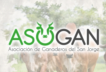 Asogán es uno de los gremios ganaderos más importantes en Córdoba. Foto: Cortesia región de San Jorge, ganaderos de de San Jorge, producción ganadera en de San Jorge, clima en de San Jorge, suelos en de San Jorge, pastos de San Jorge, CONtexto ganadero