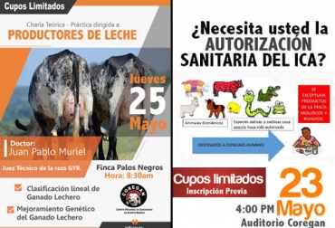 Si está interesado en asistir a uno de los 2 eventos, puede comunicarse al teléfono 313 737 0316 o al correo coregan1963@gmail.com. Foto: Cortesía. coregán, coregán puerto berrío, ganaderos de puerto berrío, resolución sanitaria ica, resolución 20148 de 2016, ganadería colombia, contexto ganadero
