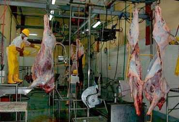 El frigorífico Villanueva es el más avanzado en la implementación del decreto 1500. Foto: elpilon.com.co No avanza investigación frigorífico Villanueva mayo 2017, venta carne contrabando Barranquilla frigorífico Villanueva 2017, Venta carne refrigerada ganado Venezuela, Contrabando carne Venezuela Colombia, contrabando de carne desde Venezuela, falta de control de las autoridades, consumo carne de contrabando de Venezuela, contrabando ganado Venezuela, frigorífico Villanueva La Guajira, CONtexto ganadero, ganaderos colombia