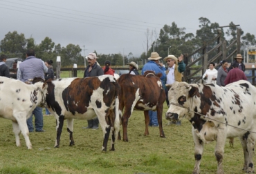 Los ganaderos de Paipa tuvieron que organizarse para vigilar sus ganados durante la noche. Foto: paipa_boyaca.gov.co Abigeato Paipa Boyacá mayo 2017, abigeato boyacá, abigeato Paipa mayo 2017, rondas nocturnas Paipa Boyacá 2017, aumento de abigeato, Hurto de ganado, autoridades locales, Medidas para combatir el abigeato, Falta atención de autoridades en abigeato, Vigilancia y control de transporte de animales, Ausencia del Estado en sectores del país, CONtexto ganadero, ganaderos colombia