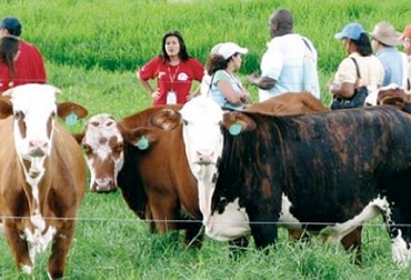 Del 13 al 16 de junio se llevará a cabo en Planeta Rica, Córdoba, la 15 Gira Técnica Ganadera Nacional de Fedegán. Foto: fedegan.org.co Gira Técnica Ganadera Nacional de Fedegán, 15 gira técnica de Fedegán, gira técnica de Fedegá en Planeta Rica, ganaderos de Córdoba, ganaderos de Colombia, región de San Jorge, CONtexto ganadero