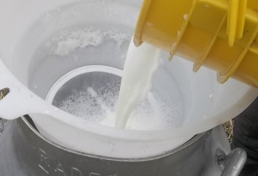 La Cámara Gremial de la Leche de Fedegán ha preparado una comunicación con el apoyo de los lecheros colombianos, dirigida al señor presidente de la República a raíz de la crisis por la que atraviesa el sector. Foto: contextoganadero.com carta de lecheros a presidente Santos, carta de lecheros a Santos, crisis del sector lácteo en Colombia, lecheros en crisis, importaciones de leche, posición dominante de la industria, CONtexto ganadero