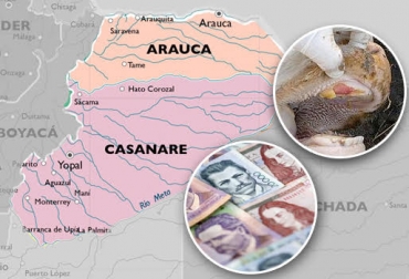 Pérdidas millonarias dejará en la región la cuarentena decretada por cuenta del brote. Foto: bc-maps.com / es.wikipedia.org / dinero.com. aftosa, brote de aftosa, brote de aftosa en arauca, fiebre aftosa en arauca, tame arauca, Ganaderos de Arauca, ganadería arauca, ganadería casanare, ica colombia, ICA, CONtexto ganadero, ganadería colombia