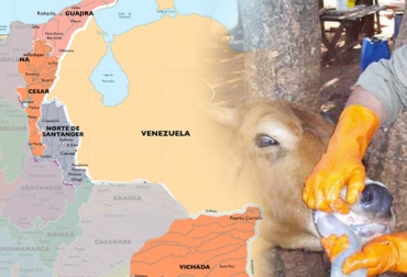 Productores de la frontera colombo-venezolana aseguran que los departamentos de la zona son susceptibles a otro brote. Foto: bc-maps.com - vivify.wordpress.com Brote Fiebre Aftosa Colombia junio 2017, ganaderos departamentos frontera brote aftosa junio 2017, fiebre aftosa en Colombia, brote de aftosa en arauca, brote de aftosa en tame, tame arauca, tame colombia, ica colombia, medidas del ica ante foco de aftosa, suspensión de importaciones por foco de aftosa, José Felix Lafaurie, Ganadería, ganadería colombia, CONtexto ganadero