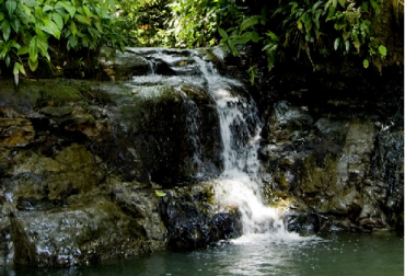Las bellezas escénicas del PNN Uramba Bahía Málaga son el lugar perfecto para tomar fotos y videos. Foto: parquesnacionales.gov.co Colombia, Parque Nacional Natural de Uramba Bahía Málaga, ministro de Ambiente Luis Gilberto Murillo, Agenda 2030, Objetivo de Desarrollo Sostenible 14, CONtexto ganadero, ganadería Colombia