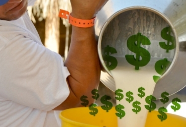 En Colombia cerca de 350 mil ganaderos se dedican a la leche, y solo 5 empresas procesan el 62 % del producto. Foto: elpilon.com.co / CONtexto ganadero. precio de la leche, problemáticas del sector lechero, Lecheros de Colombia, CONtexto ganadero