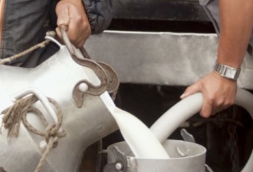 Los ganaderos temen que el precio seguirá a la baja a pesar del inicio del verano. Foto: unidad.com.co Productores Antioquia bajo precio leche junio 2017, Precio leche junio 2017, baja precio leche junio 2017, precio leche ganaderos Antioquia 2017, empresas lácteas bajan precio de leche junio 2017, pasteurizadoras bajan precio leche junio 2017, CONtexto ganadero, ganaderos colombia