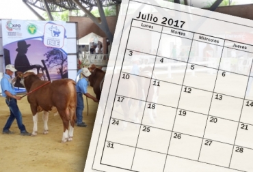 Conozca los eventos ganaderos que darán de qué hablar durante es mes de julio. Foto: contextoganadero.com ferias ganaderas de julio, ferias ganaderas de julio 2017, encuentros ganaderos de julio, eventos pecuarios de julio, exposición bovina, sector ganadero de Colombia, Antioquia, Meta, Nariño, Bogotá D.C. y Putumayo, CONtexto ganadero
