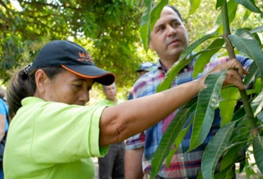 Pequeños y medianos ganaderos de Atlántico recibirán asistencia técnica. Foto: elheraldo.co Proyecto asistencia técnica Atlántico 2017, asistencia técnica pequeños y medianos ganaderos de Atlántico 2017, Secretaría de Desarrollo Económico de la Gobernación del Atlántico 2017, asistencia técnica cadena láctea Atlántico 2017, CONtexto ganadero, ganaderos colombia