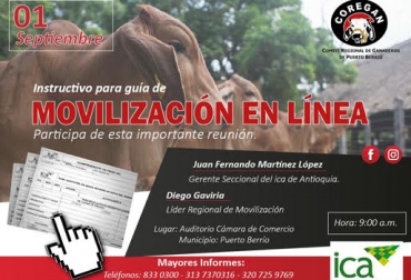 La capacitación les permitirá a los ganaderos adelantar el trámite con más facilidad. Foto: Cortesía. guías, guías por internet, movilización animal, movilización de bovinos, guías de movilización, ica, ica colombia, ganaderos de puerto berrío, coregán, contexto ganadero, ganadería colombia