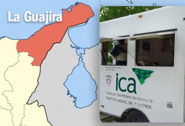 La vigilancia y trabajo de las autoridades ha evitado que llegue la enfermedad al departamento. Foto: commons.wikimedia.org / ica.gov.co. aftosa, Fiebre aftosa, aftosa colombia, brote de fiebre aftosa en colombia, ganadería La Guajira, ganaderos la guajira, CONtexto ganadero, ganadería colombia