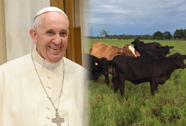 Estos son otros ejemplares de la ganadería El Esfuerzo, donde nació y se crió la res. Foto: Ariel Jiménez / es.wikipedia.org Visita Papa Francisco Colombia 2017, Visita Papa Francisco Villavicencio 8 septiembre 2017, comida Papa Francisco Villavicencio 2017, Asociación Angus Brangus Colombia, carne Angus, ganados Brangus, CONtexto ganadero, ganaderos Colombia