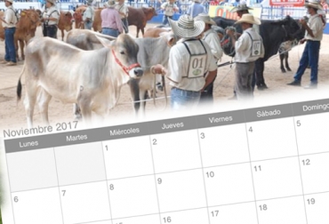 En este mes se harán eventos ganaderos de talla nacional. Foto: elheraldo.co Ferias ganaderas Colombia noviembre 2017, ferias ganaderas Colombia 2017, ferias ganaderas noviembre 2017, ferias, Ferias Ganaderas, ferias Colombia, Eventos ganaderos, eventos ganaderos colombia, CONtexto ganadero, ganadería colombia, noticias ganaderas Colombia