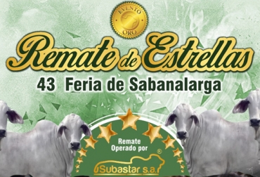 Por primera vez, la empresa Subastar será encargada de dirigir el remate en este importante evento ganadero. Foto: Feria de Sabanalarga Remate Feria Sabanalarga 2017, Feria Sabanalarga 2017, Feria Ganadera de Sabanalarga, Feria ganadera de Sabanalarga 2017, Feria equina de Sabanalarga, Feria agroindustrial de Sabanalarga, ganaderos del caribe, Ganaderos de Sabanalarga, Feria ganadera Atlántico, CONtexto ganadero, ganaderos colombia, noticias ganaderas colombia