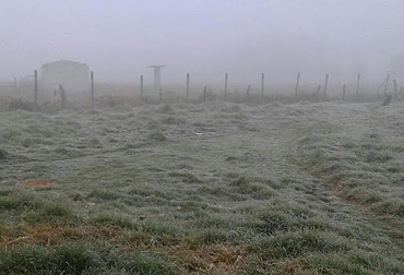 “Hubo una fuerte disminución de las temperaturas que afectaron bastante las pasturas”, Guiovanni Pinilla. Foto: Nelson Vargas. Heladas en Boyacá y Cundinamarca, disminución de temperatura en la madrugada, temperatura de menos 7 grados centígrados, afectación de pasturas, plan de contingencia, pasturas degradadas, Suesca, Paipa, Duitama, ganaderos agobiados, CONtexto Ganadero, noticias de ganadería colombiana.