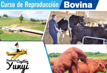 El curso se hará en la central de genética Reprovet, con apoyo de Fedegán y Asocebú, entre otros. Foto: Fundación Capitán Yunyi Fundacion Capitán Yunyi 2018, Reprovet, Curso reproducción bovina 2018, Día de campo Capitan Yunyi enero 2018, día de campo de Brahman Fundación Capitán Yunyi, Fundacion Capitan Yunyi Curso reproducción 2018, Fundación Capitán Yunyi, Fundación Luis Alberto Martínez, CONtexto ganadero, ganaderos colombia, noticias ganaderas colombia