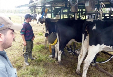 Ganaderos de Cundinamarca que llevan 30 y 40 años de generar valor en ganadería manifiestan su inconformismo porque el precio de leche al productor no aumenta. Foto: Agencia UNAL Precio de leche pagado al productor no aumenta, municipios de Cundinamarca, ganaderos acorralados por los costos, reforma tributara un desacierto, Gobierno exige en las ARP, abundancia de leche, CONtexto Ganadero, noticias de ganadería colombiana.